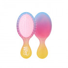 Wet Brush Electric Sky Mini Detangler - Pink Sunset