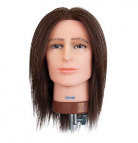 Dateline Professional Mannequin David Medium Dark Brown