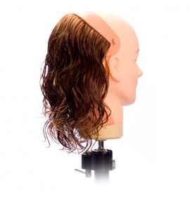 Dateline Professional Female Nape Solid Form
