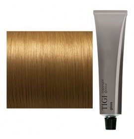 TIGI Copyright Colour Gloss 6/3 Dark Gold Blonde