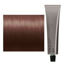 TIGI Copyright Colour Gloss 6/85 Dark Ash Mahogany Blonde