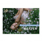 Beaver Range Brochure
