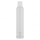 Aluram Finishing Spray 284g
