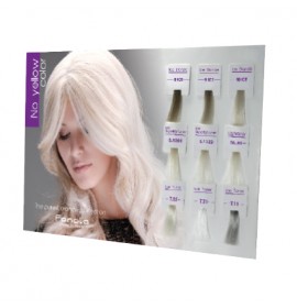 Fanola Permanent Colour Intensifier Silver 100g