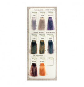 Echos Colour Colour Chart Insert 