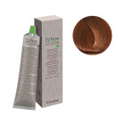 Echos Colour 8.34 Light Blond Golden Copper 100ml