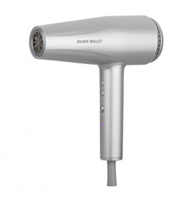 Silver Bullet Platinum Hair Dryer 2200W