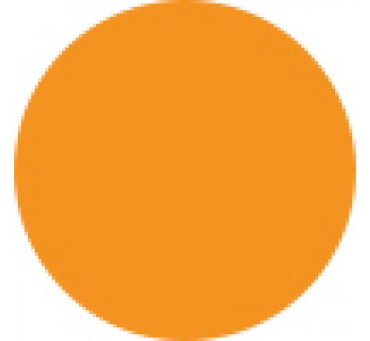 Parlux 385 & Advance Hair Dryer Filter Cover