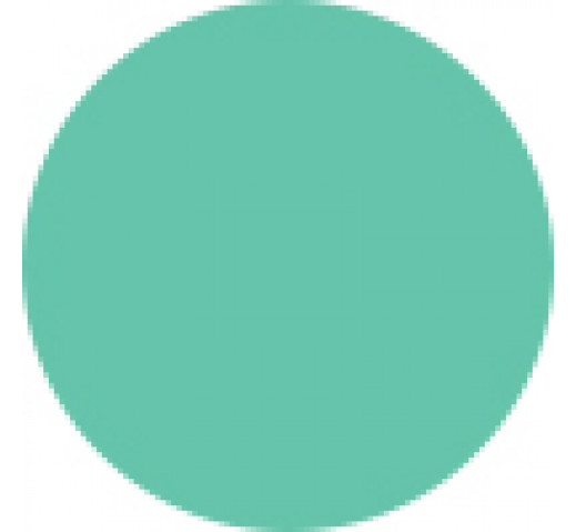 Parlux 385 & Advance Hair Dryer Filter Cover