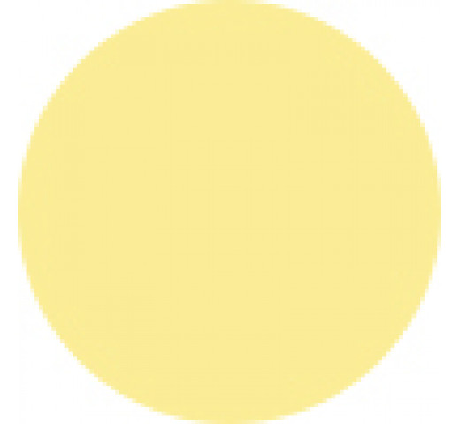 Parlux Alyon Hair Dryer Filter Cover