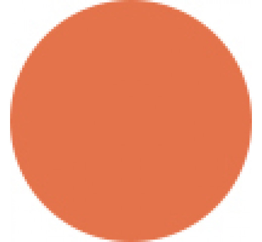 Parlux Alyon Hair Dryer Filter Cover