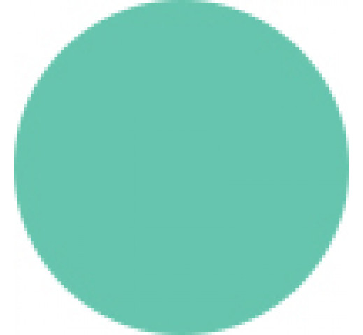 Parlux Alyon Hair Dryer Filter Cover