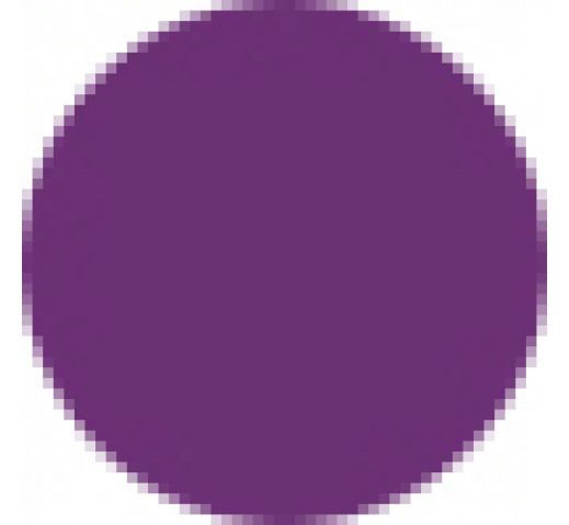 Fanola Color Mask 200ml