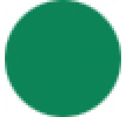 Fanola Color Mask 200ml