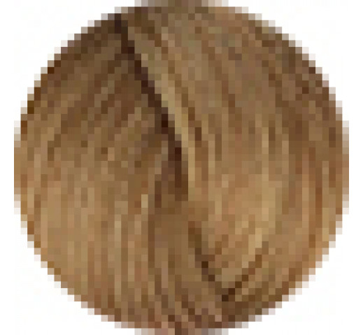 Fanola Prestige Permanent Colour 100g