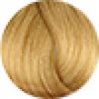 Fanola Permanent Colour 10.00 Intense Blonde Platinum 100g