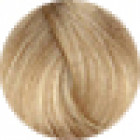 Fanola Permanent Colour 10.03 Warm Blonde Platinum 100g