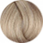 Fanola Permanent Colour 10.1 Blonde Platinum Ash 100g