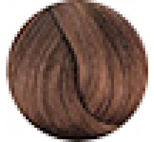 Fanola Prestige Permanent Colour 100g