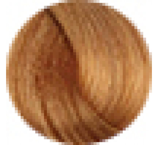 Fanola Prestige Permanent Colour 100g