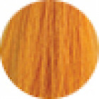 Fanola Permanent Intensifier Yellow 100g