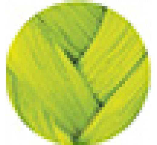 Danger Jones Semi-Permanent Colour 118ml