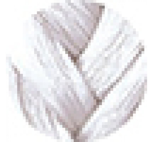 Danger Jones Semi-Permanent Colour 118ml