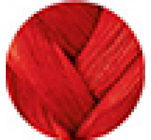 Danger Jones Semi-Permanent Colour 118ml