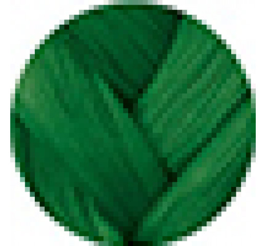 Danger Jones Semi-Permanent Colour 118ml