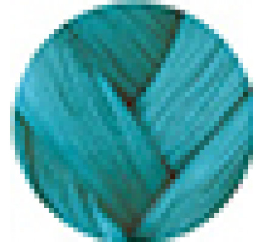 Danger Jones Semi-Permanent Colour 118ml