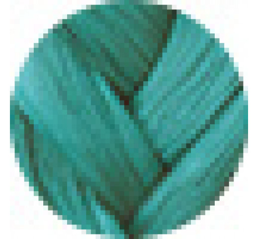 Danger Jones Semi-Permanent Colour 118ml