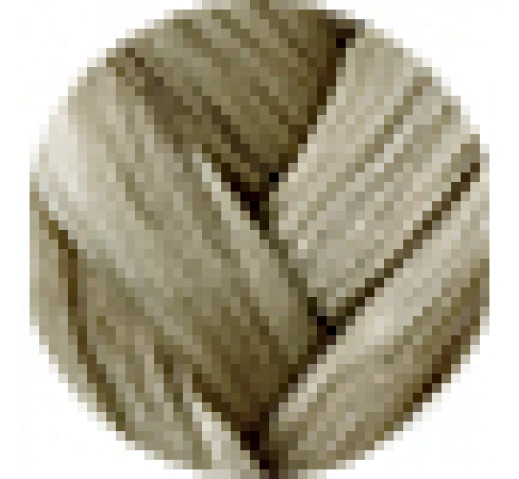 Danger Jones Gloss Toner 60ml