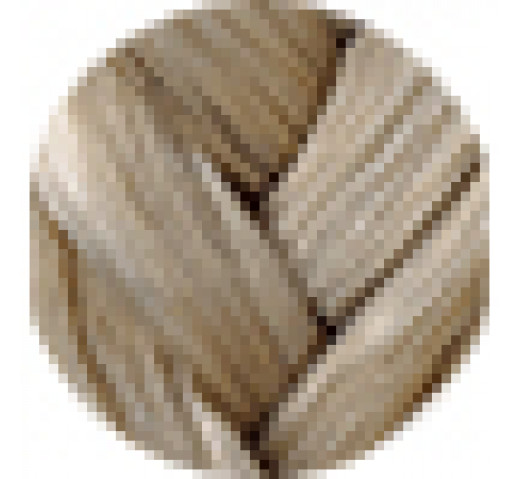 Danger Jones Gloss Toner 60ml