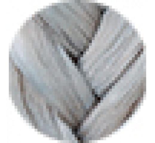 Danger Jones Gloss Toner 60ml