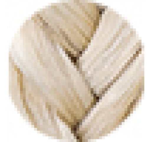 Danger Jones Gloss Toner 60ml