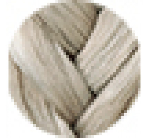 Danger Jones Gloss Toner 60ml