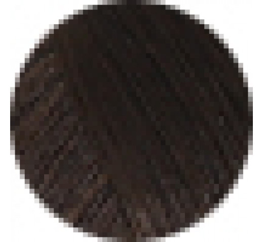 Echos Permanent Colour 100g 