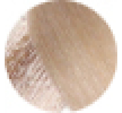 Echos Permanent Colour 100g 