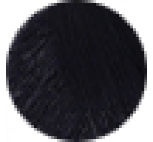 Echos Permanent Colour 100g 