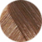 Echos Colour 8.32 Nude Taupe Light Blond 100ml