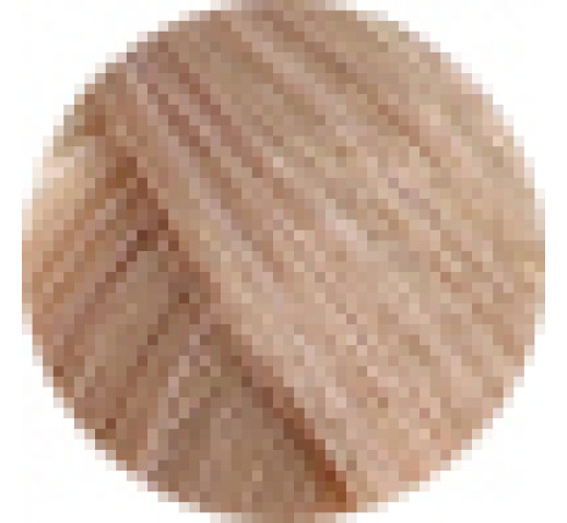 Echos Permanent Colour 100g 