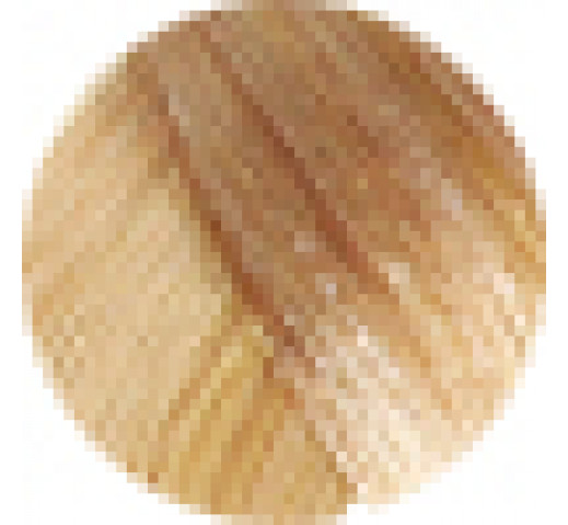 Echos Permanent Colour 100g 