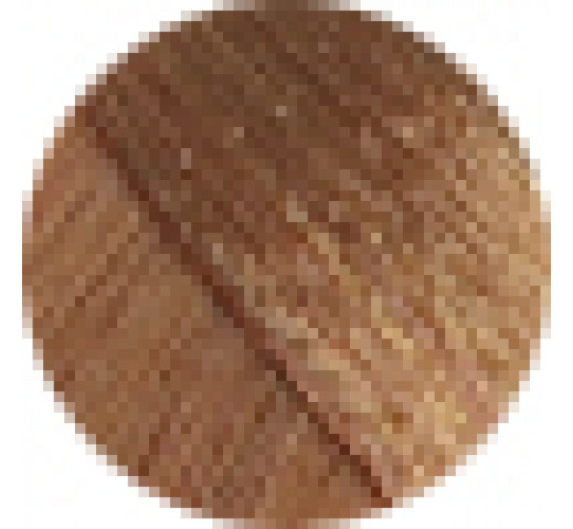 Echos Permanent Colour 100g 