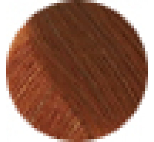 Echos Permanent Colour 100g 