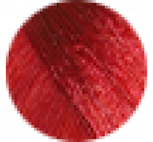 Echos Permanent Colour 100g 