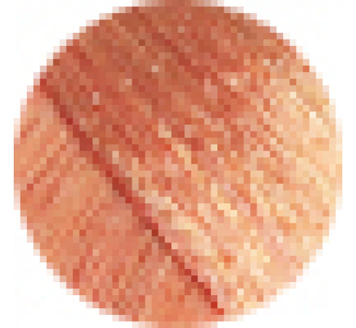 Echos Permanent Colour 100g 