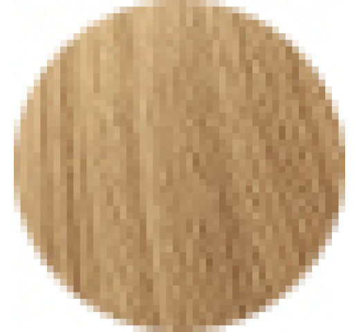 Echos Permanent Colour 100g 